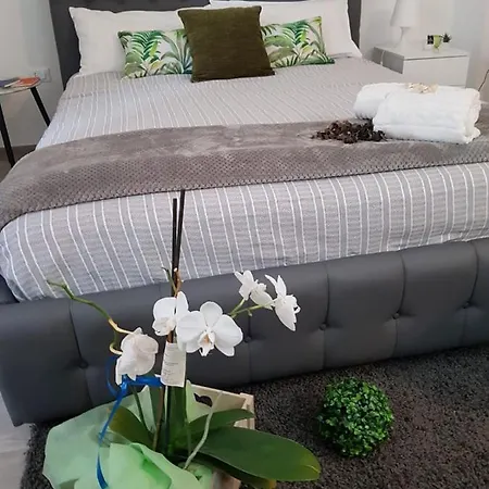 فندق مبيت وإفطار B&b21 *